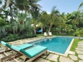 tropical-pool-chaise-lounges-palms-green-craig-reynolds-landscape-architecture_3945
