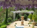 jardim41