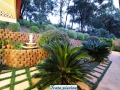 jardim44