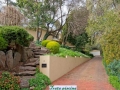 jardim52